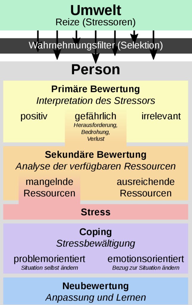 Förderung von Prävention und Gesundheitsförderung